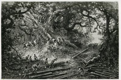 Lo sfruttamento del mogano nelle foreste delle Ande. Incisione di Riou, per illustrare la storia 