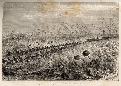 Il traino di un piroscafo attraverso le zattere di vegetazione che invadono il canale cavo per lasciare una palude, inciso da un disegno di E.Riou, illustrante una spedizione armata in Africa Centrale, per la soppressione del commercio nero da Edouard Riou
