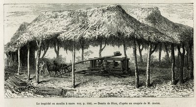 Il trapiche, o mulino da zucchero per macinare le canne a Panche (Colombia), disegno di Riou, per illustrare la storia dell