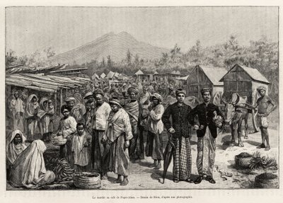 La passeggiata al Pager Alam Cafe (Malesia). Incisione di Riou per illustrare la storia 