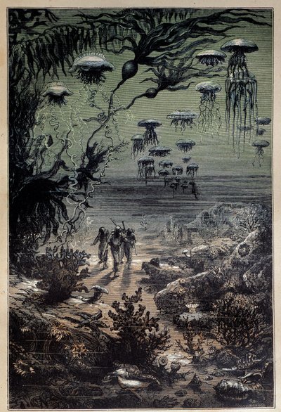 Pavimento sottomarino. Illustrazione di Edouard Riou per il romanzo "Ventimila leghe sotto i mari" di Jules Verne da Edouard Riou