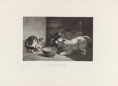 Gatto che soffia e tre cani che abbaiano vicino a un piatto da Edouard Taurel