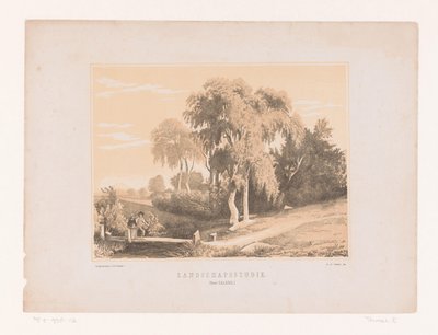 Studio di paesaggio da Edouard Taurel