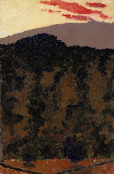 Paesaggio, c.1900 da Edouard Vuillard