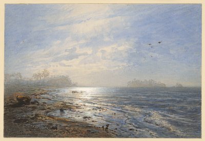Costa della Birmania da Eduard Hildebrandt