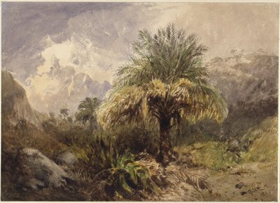 Palme in montagna da Eduard Hildebrandt