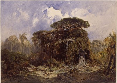  da Eduard Hildebrandt