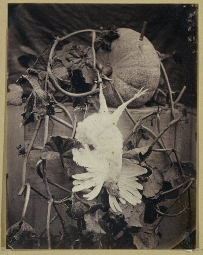Natura morta con uccello morto e zucca da Eduard Isaac Asser