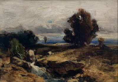 Studio di paesaggio da Eduard Peithner von Lichtenfels
