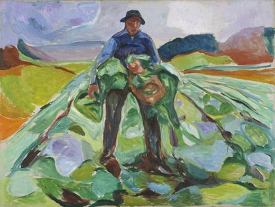 Uomo nel campo di cavoli da Edvard Munch