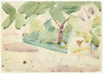 Studio di colore Langelinie da Edvard Weie