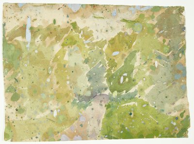Studio di colore per Strada attraverso il bosco da Edvard Weie
