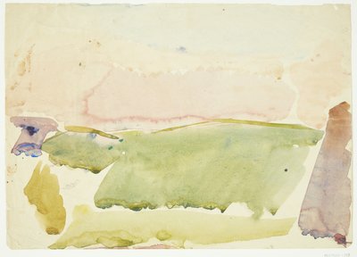 Paesaggio con campi da Edvard Weie