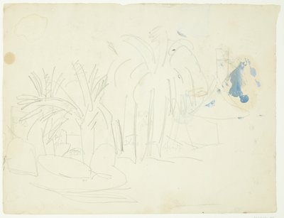 Paesaggio con palme, Cannes da Edvard Weie