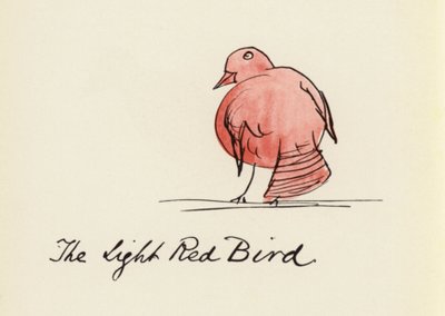 Il Libro degli Uccelli: L