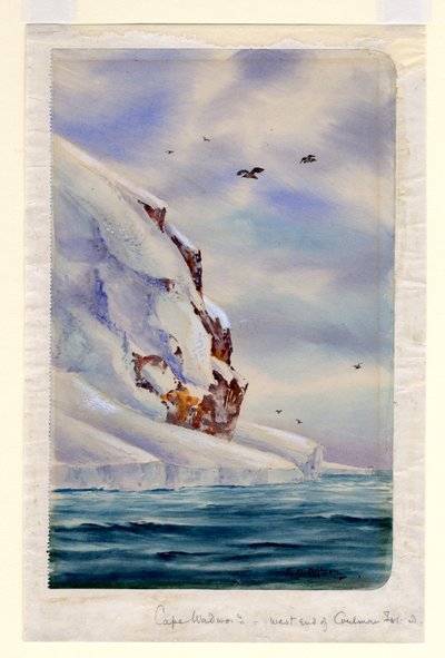 Capo Wadsworth, Isola Coulman da Edward Adrian Wilson