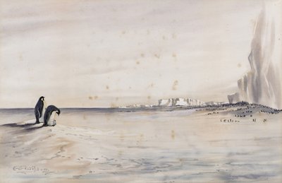 La colonia di pinguini imperatore, Capo Crozier da Edward Adrian Wilson