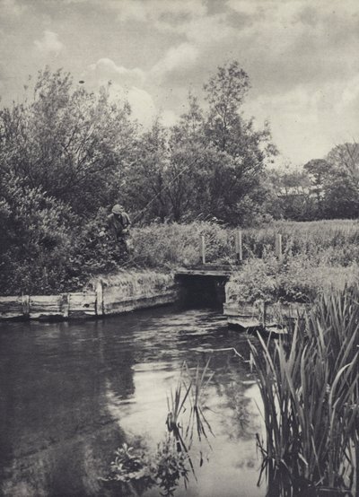 Un piccolo trasportatore sul Ramsbury Water da Edward Alfred Barton