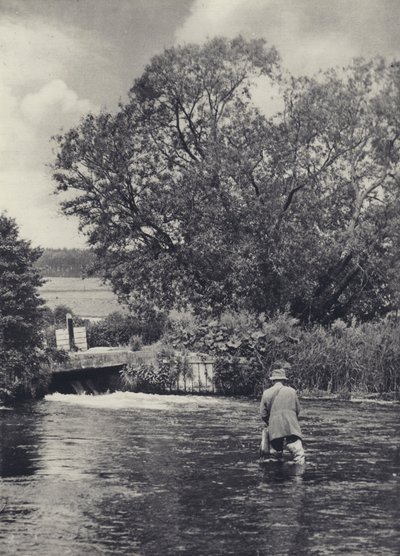 Sul Itchen sotto Winchester da Edward Alfred Barton