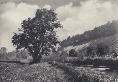 Il grande frassino sul trasportatore principale, Leckford da Edward Alfred Barton