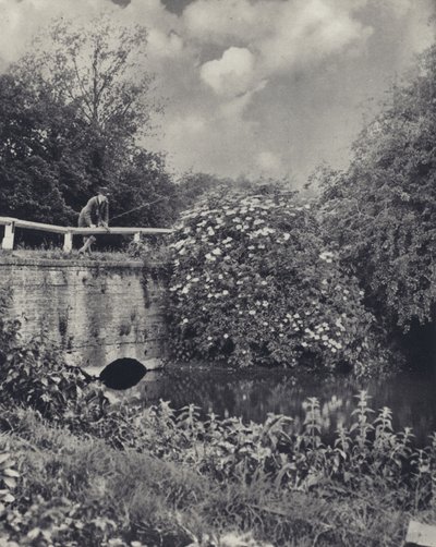 Il ponte del canale sopra il Frays, Uxbridge da Edward Alfred Barton