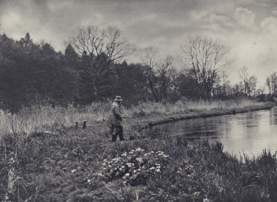 I primi ranuncoli di primavera da Edward Alfred Barton