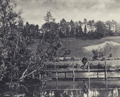 Tumbling Bay, Su un trasportatore del Test sotto Fullerton da Edward Alfred Barton