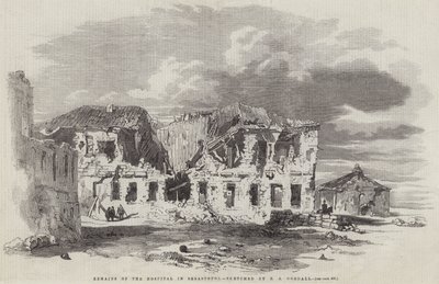 Rovine dell