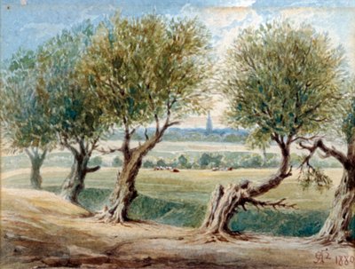 Ultimo vestigio del fiume Fleet, ...sul lato est di Fleet Road, Hampstead, 1880 da Edward Arthur Heffer