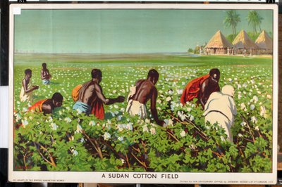 Un campo di cotone in Sudan, dalla serie 