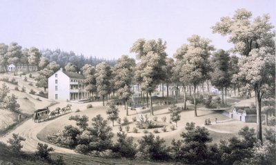 Stribling Springs, villaggio termale, Augusta Country, 1858 da Edward Beyer