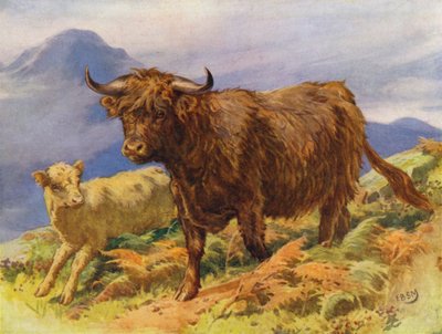 Mucca delle Highlands e vitello da Edward Brice Montefiore