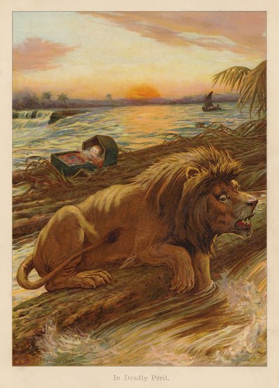 In pericolo mortale da Edward Brice Montefiore
