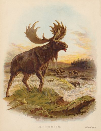 Al Sicuro dal Nemico da Edward Brice Montefiore