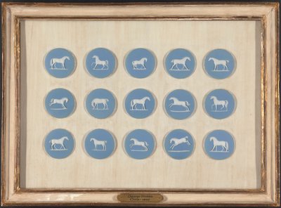 Studi di cavalli in rilievo, dopo George Stubbs da Edward Burch