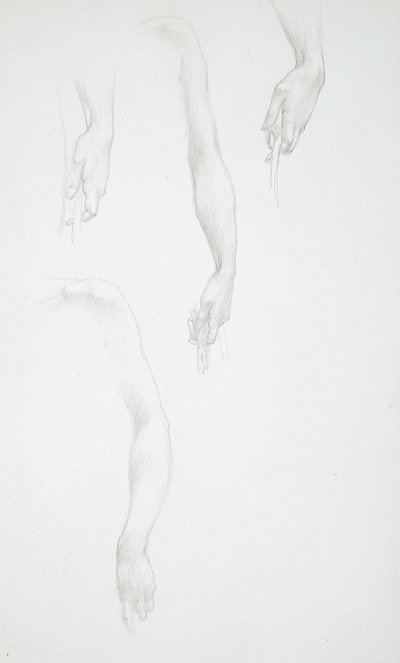 Studi di braccia e mani (recto); Studio di un busto femminile (verso) da Edward Burne-Jones