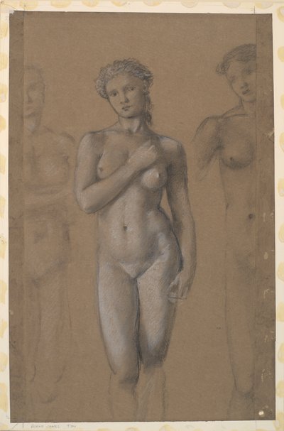 Nudo femminile - Tre studi, possibilmente per Venere da Edward Burne Jones