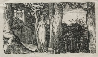 La signora e le torri da Edward Calvert