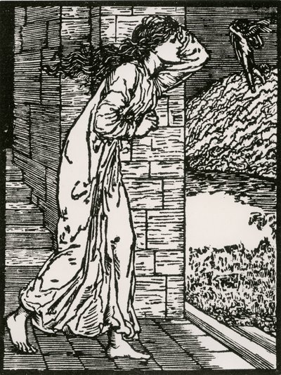 Psiche che fugge dal Palazzo da Edward Coley (after) Burne Jones
