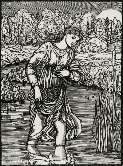Il compito delle canne da Edward Coley (after) Burne Jones