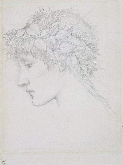 Testa coronata di foglie, c.1897 da Edward Coley Burne Jones