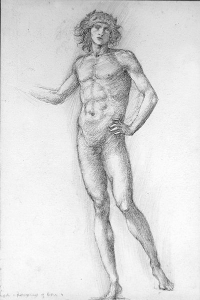 Amore, Romaunt della Rosa da Edward Coley Burne Jones