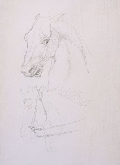 Studio della Testa di un Cavallo da Edward Coley Burne Jones