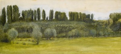 Paesaggio con salici e pioppi, studio da Edward Burne Jones