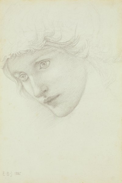 Studio per la Testa di una Sirena da Edward Burne Jones