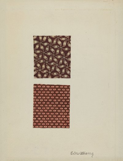 Campioni di cotone stampato da Edward D. Williams