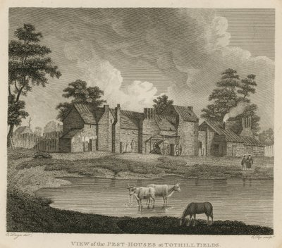 Veduta delle case di peste a Tothill Fields, Londra da Edward Dayes