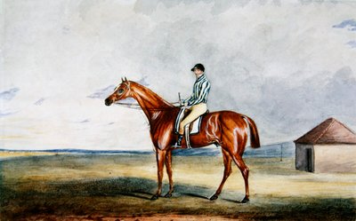 Lord Jersey