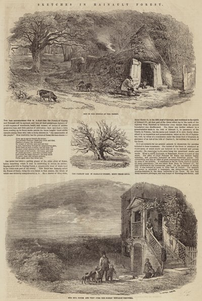 Schizzi nella Foresta di Hainault da Edward Duncan
