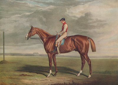 Velocipede, vincitore del St. Leger, 1828 da Edward Duncan